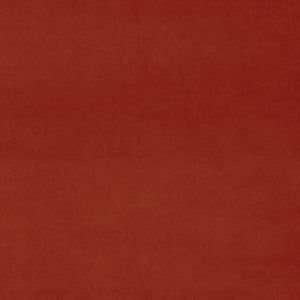 Carnelian Fabric Swatch