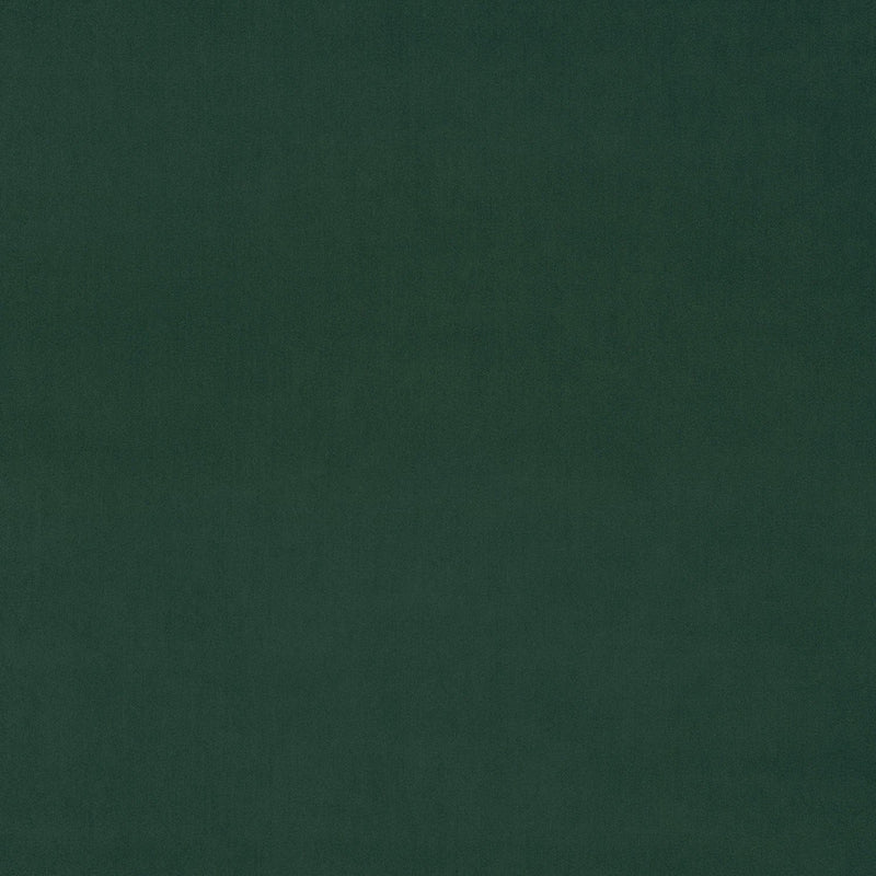 Pine Fabric Swatch