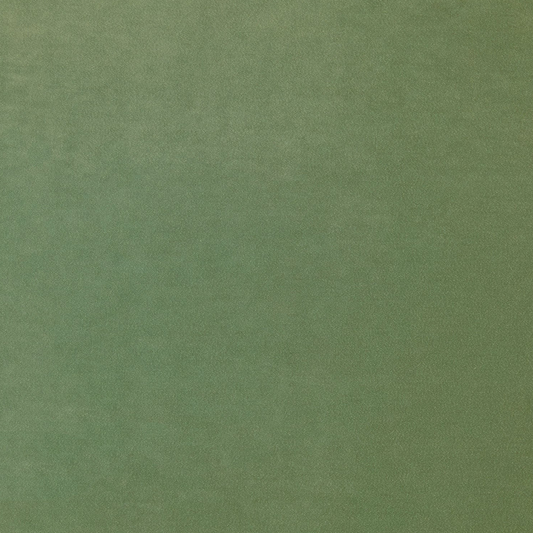 Winter Moss Fabric Swatch