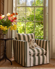 Cocobella Armchair in Spring Green Stripe