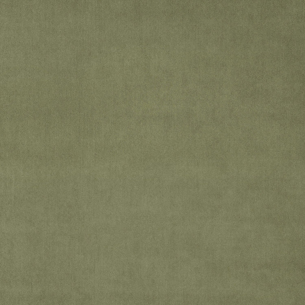 Green Tea Fabric Swatch