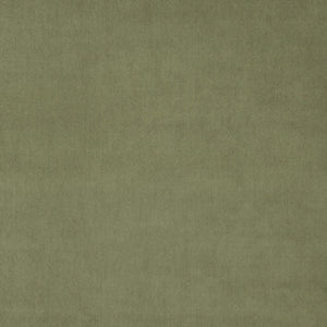 Green Tea Fabric Swatch