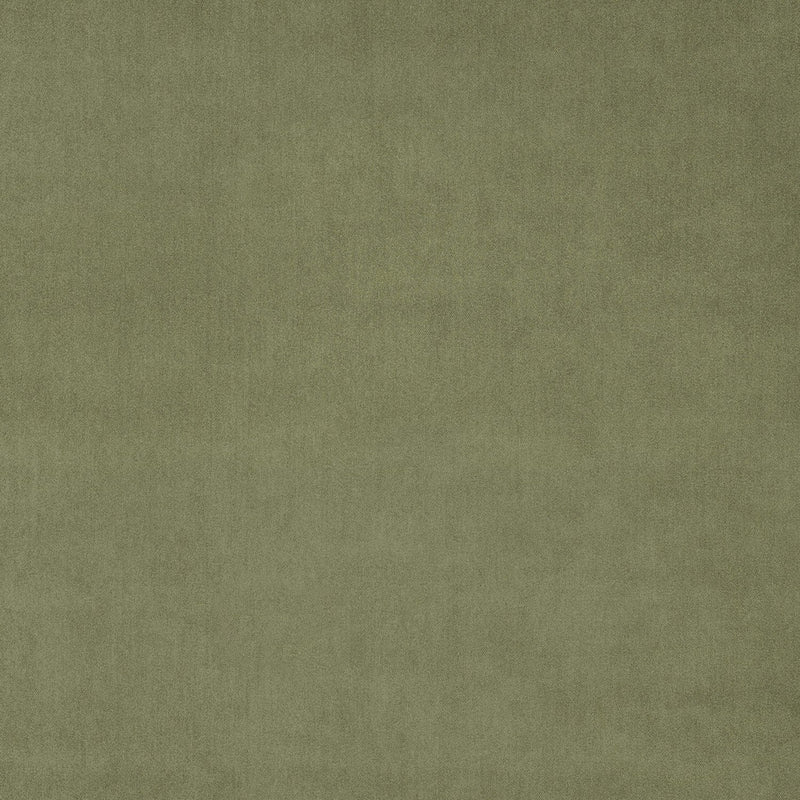 Green Tea Fabric Swatch