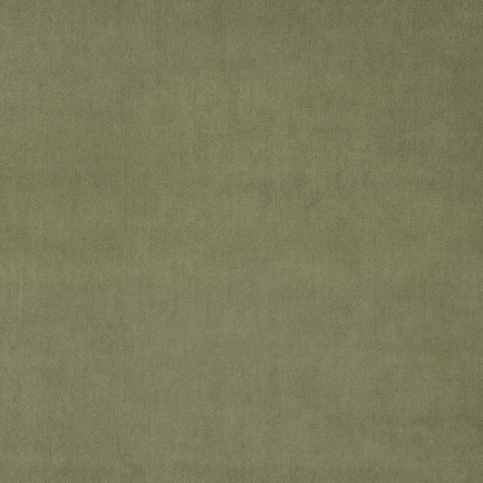 Green Tea Fabric Swatch