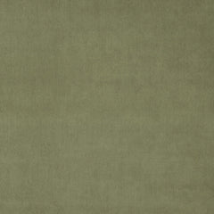 Green Tea Fabric Swatch