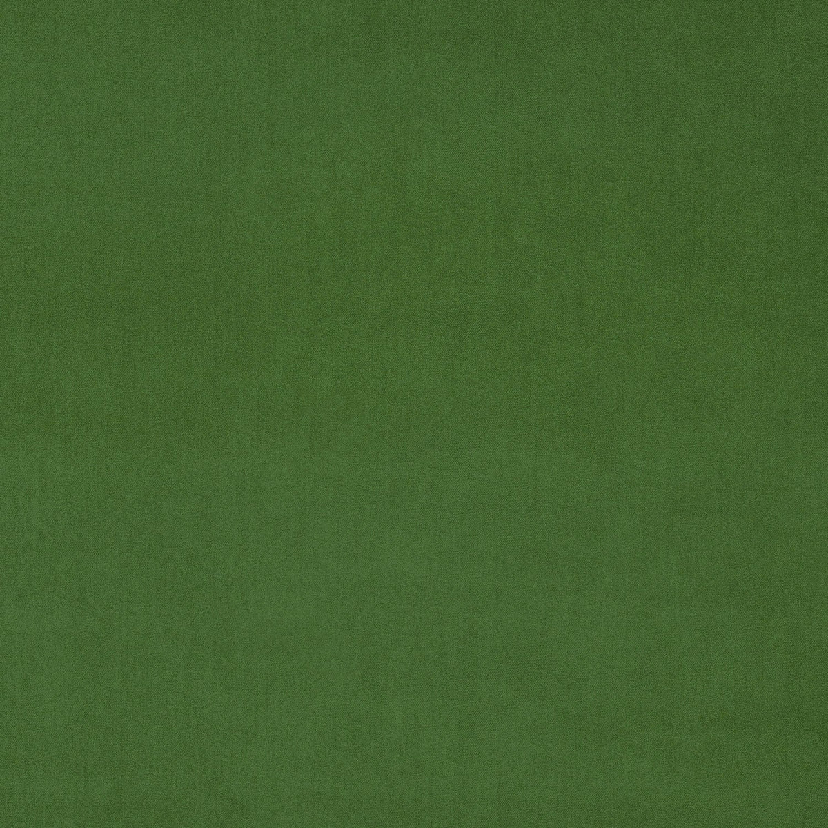Parakeet Fabric Swatch