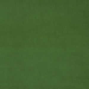 Parakeet Fabric Swatch