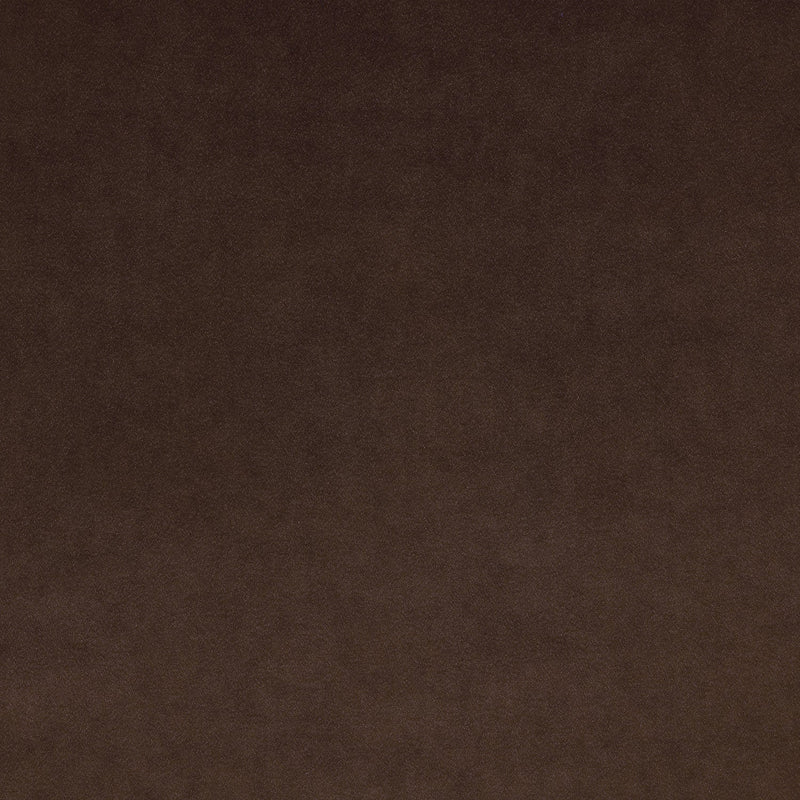 Chocolate Fabric Swatch