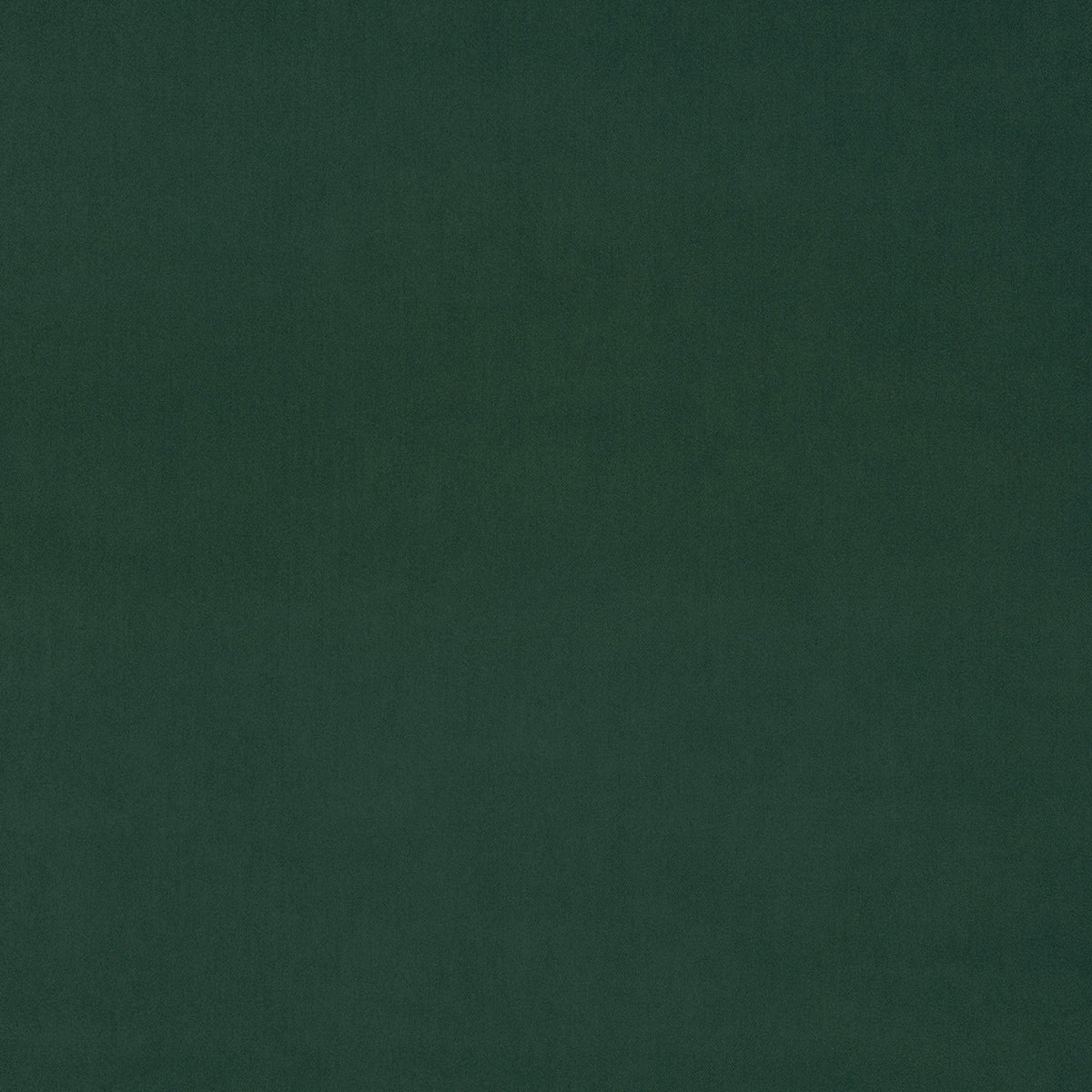 Pine Fabric Swatch