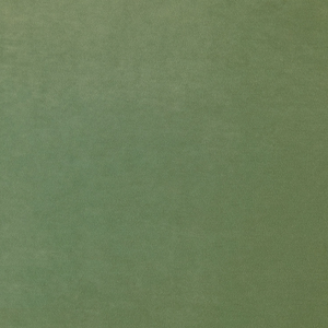 Winter Moss Fabric Swatch