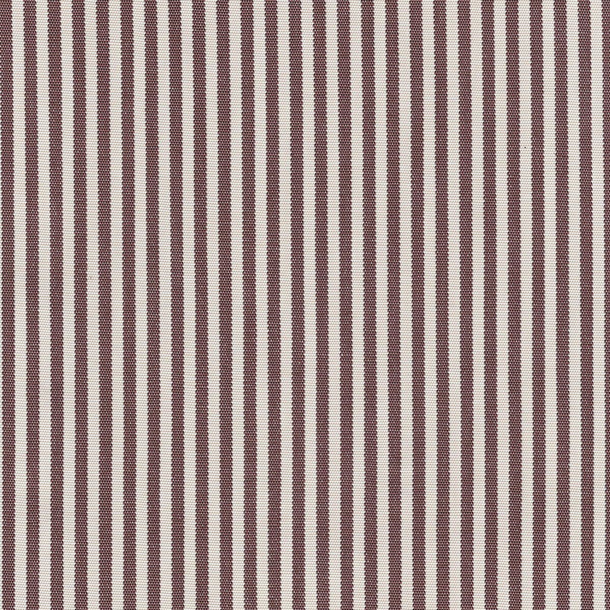 Narrow Chocolate Fabric Swatch
