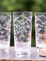 Four Highball Glasses with Fern Design by Vintage List